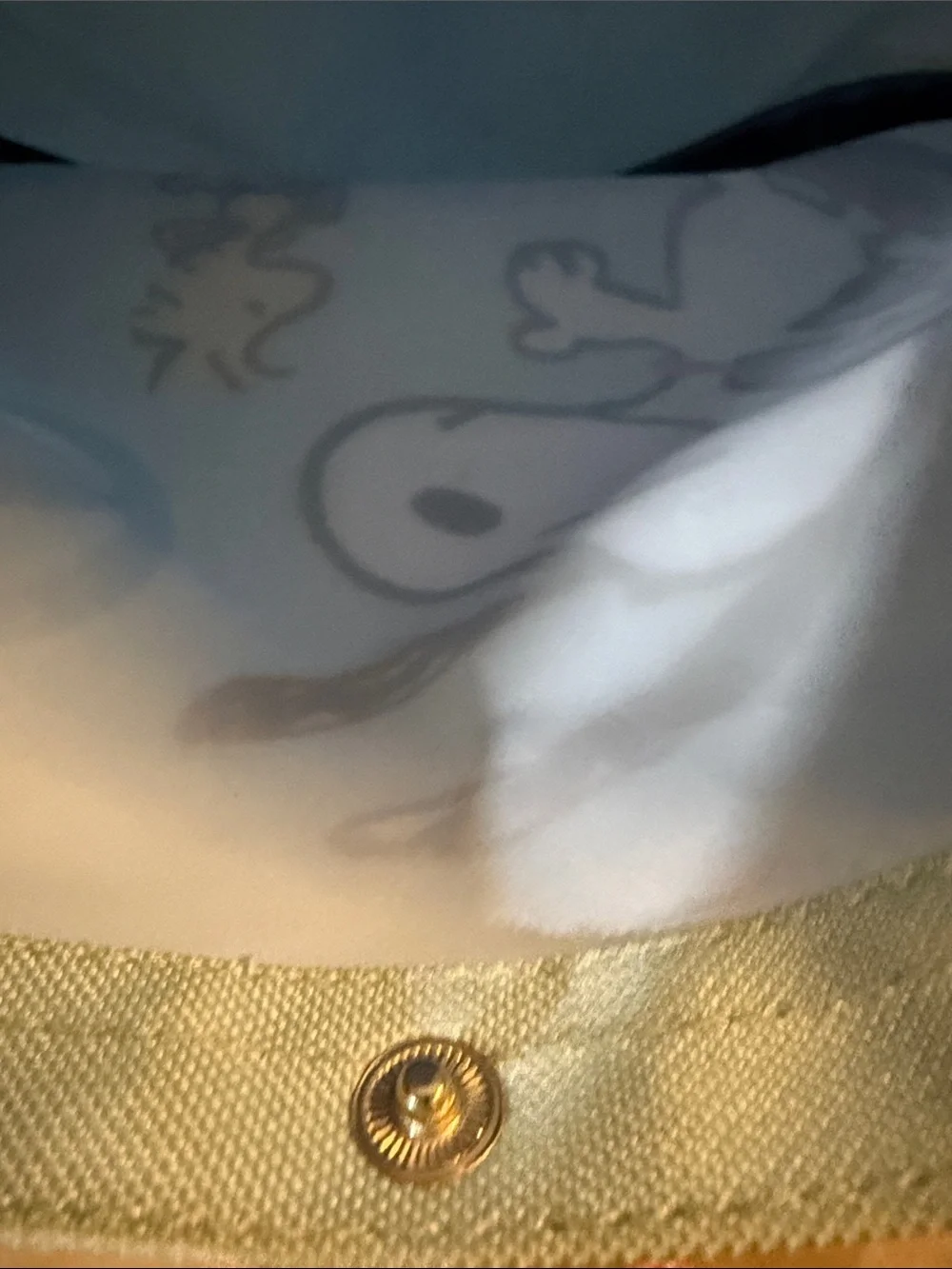 Peanuts Snoopy & Woodstock Skate Tote in Light Blue and Navy
